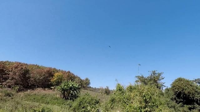 Birds of Prey Thailand смотреть онлайн