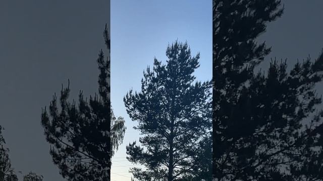 Улетай….. смотреть онлайн