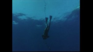 Одиссея Жака Кусто 1 сезон 11 серия (документальный сериал, 1966 – 1987)