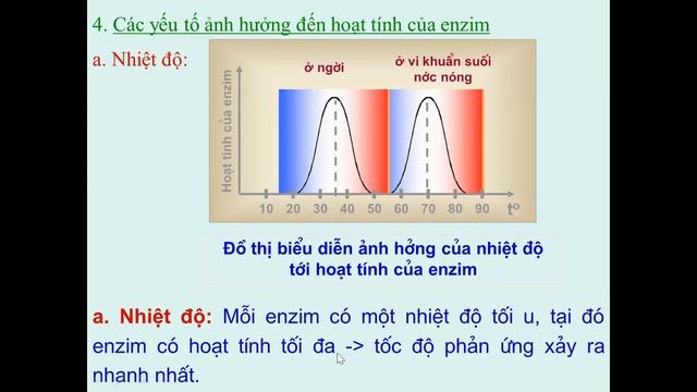 enzim sinh 10 смотреть онлайн