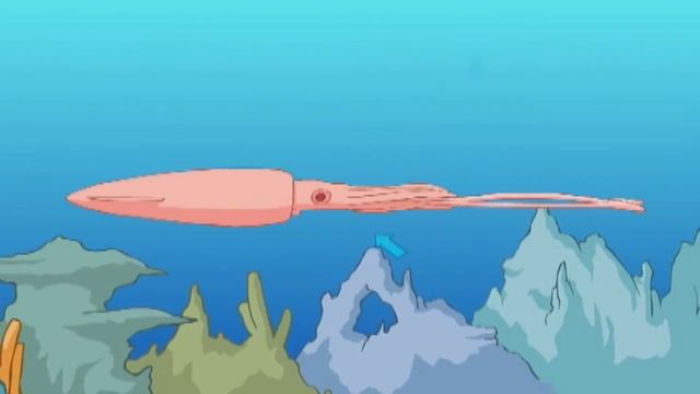 Squid Dissection (Gr 6-12) смотреть онлайн