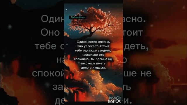 #мудрые слова☝🏻 смотреть онлайн