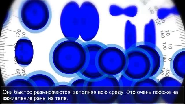 Доктор Натан Ньюман (Nathan Newman) о системе омоложения кожи Luminesce - более 200 факторов роста! смотреть онлайн