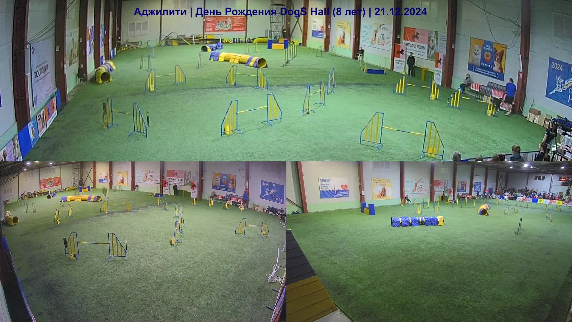 Аджилити | День Рождения DogS Hall (8 лет) часть 9 из 9 | 21.12.2024