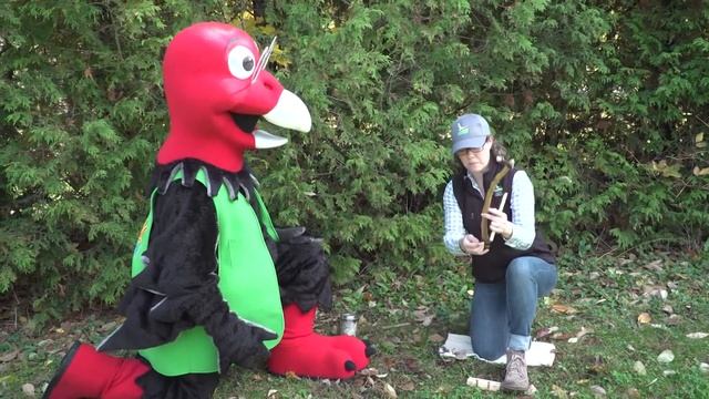 Conservation Kids - Kelso Conservation Area - How do you make fire with two sticks? смотреть онлайн