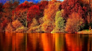 Стив Морган - И снова осень