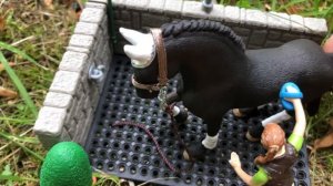 ОДИН ДЕНЬ на КСК ШЛЯЙХ