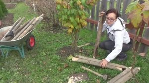 Делаю опору для смородины 2019 год