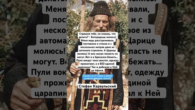 Стефан Караульский смотреть онлайн