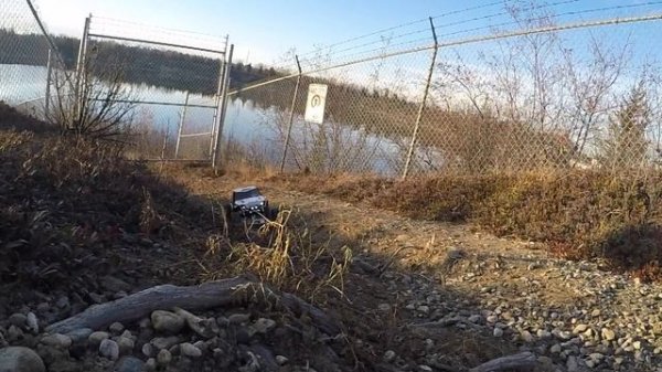 It's Alive!!!! - FrankenWraith -