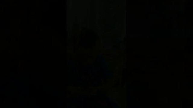 Аквариум с рыбками