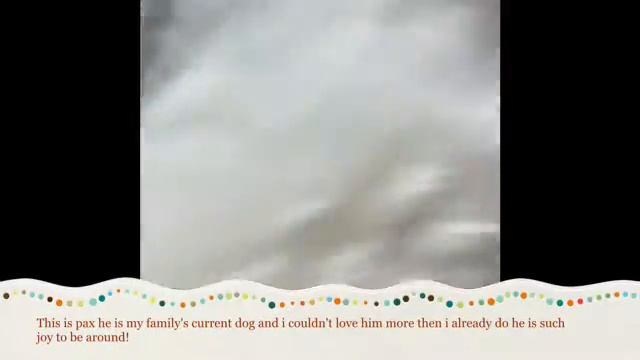 A speedy movie of my past and present pets! смотреть онлайн
