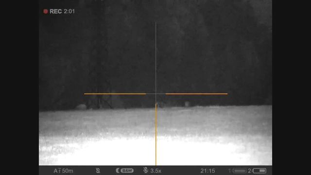 Pulsar digex C50 wildschweinjagd - sanglier chasse - polowanie na dziki - Hunting Wild boar 30-06 смотреть онлайн