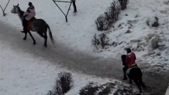 Единорог и пони в городе смотреть онлайн