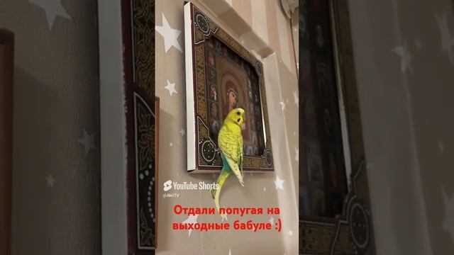 Господи помилуй )