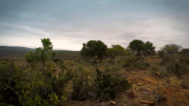 Kudu and Springbok Hunt with a 30-06 Springfield | The Grey Ghost смотреть онлайн