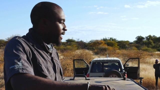 WILD NAMIBIA E05 - WILDLIFE VET STUDENTS - Exciting darting of a Brown Hyaena and finding pangolin. смотреть онлайн