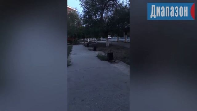 Народный репортер: Урны есть, а скамеек нет смотреть онлайн