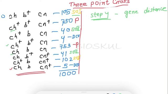 Three point mapping II Gene Order II Gene Distance смотреть онлайн