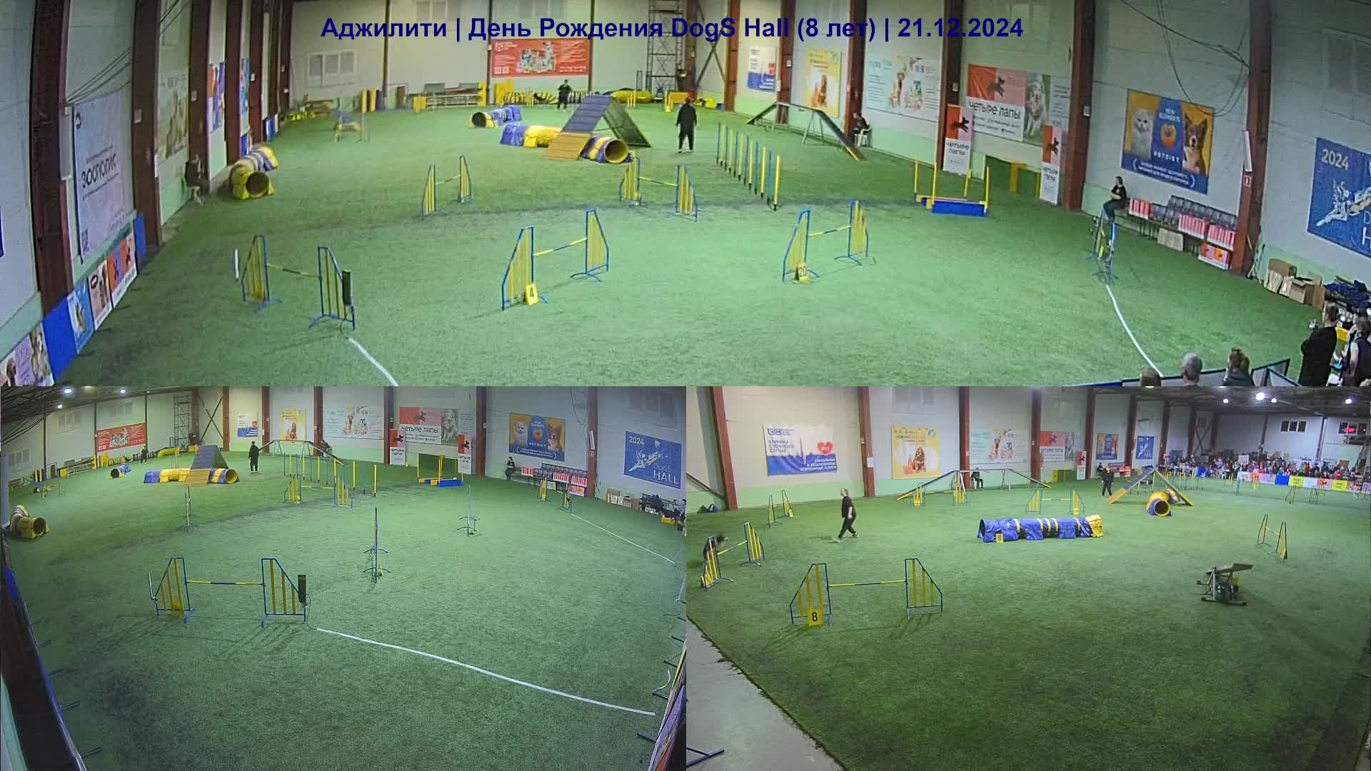Аджилити | День Рождения Dogs Hall (8 лет) часть 6 из 9| 21.12.2024