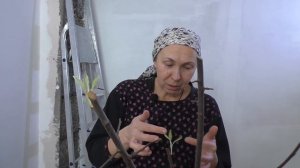 Воздушные отводки и потайная полка