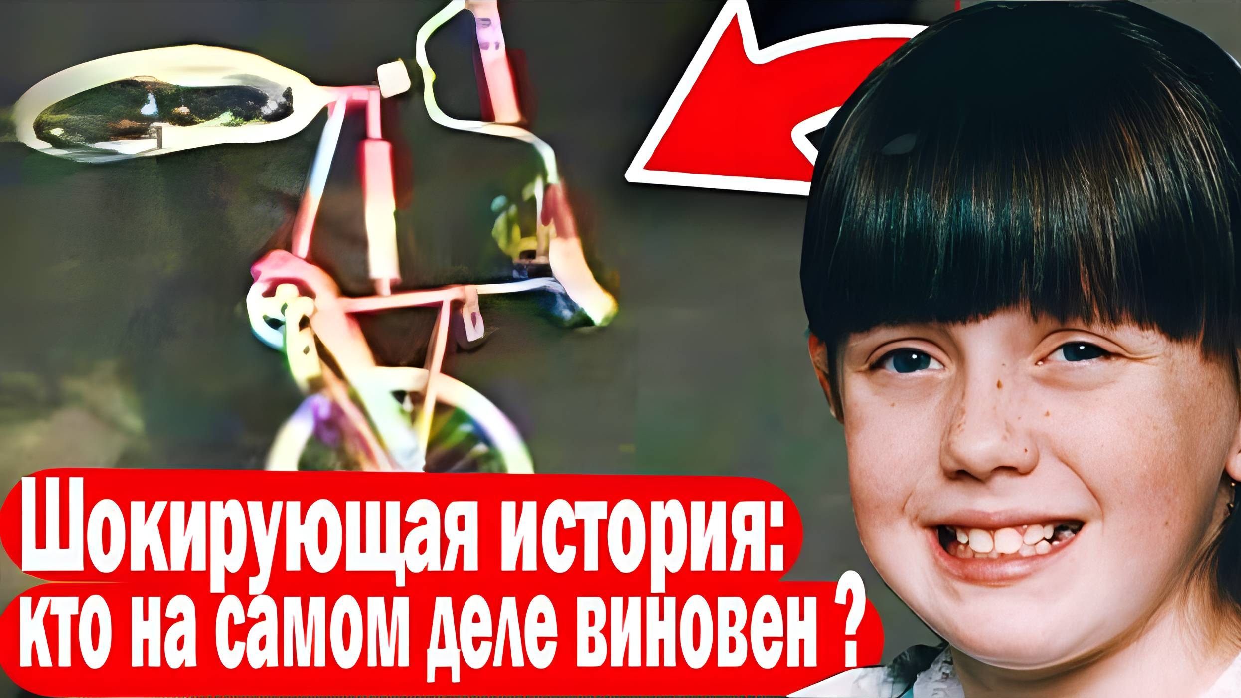 Шокирующая история, кто на самом деле виноват. Криминальные истории #25