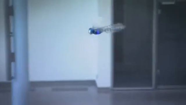 BionicOpter Festo SD 500