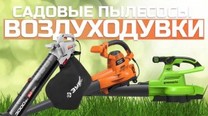 Лучшие воздуходувки и садовые пылесосы Топ-5 в Рейтинге 2024 года