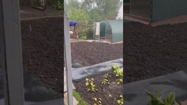 Дождь смотреть онлайн