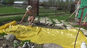 6 соток в мае 2019 год Хроника. Рассада однолетников...