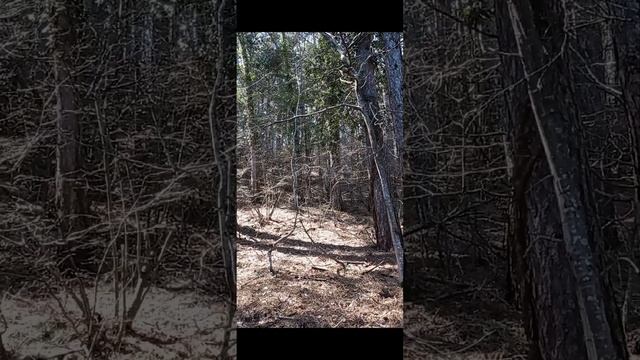 К г.Кобоплу.26.03.22. смотреть онлайн