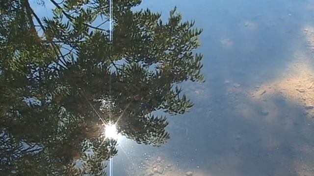отражение солнца в луже ЛЕТО смотреть онлайн