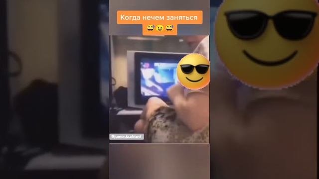 #shorts#, смех, ржач, юмор, настроение, приколы.mp4 смотреть онлайн