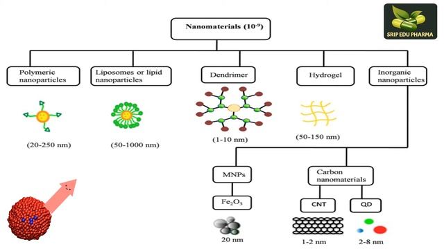 NANOPARTICLES#saiedupharmaa смотреть онлайн