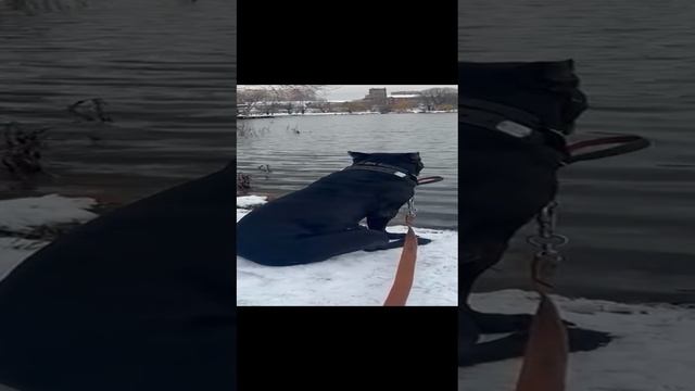 Хочется купаться)))