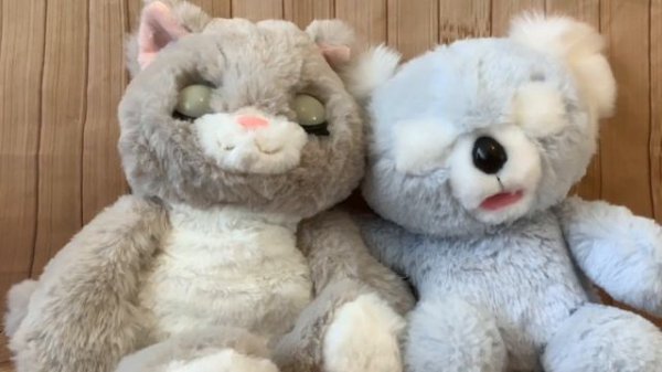 New Interactive Toys Christmas 2022 My Fuzzy Friend Winks Sleepy Kitty Comparison with Cozy Dozys