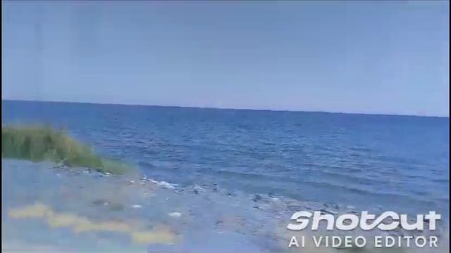 Shotcut-20241110-065225.mp4