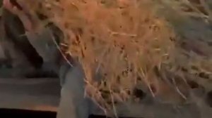 фильм азербайджанский