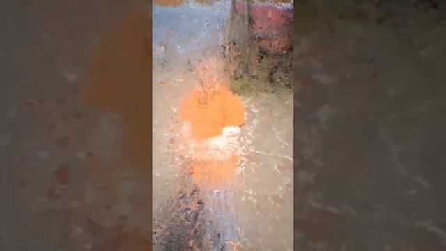 лучшие друзья смотреть онлайн