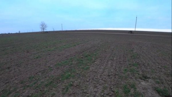 ОБЛАВА НА ЗАЙЦА от первого лица. Коллективная охота на зайца. Hare hunting first person.