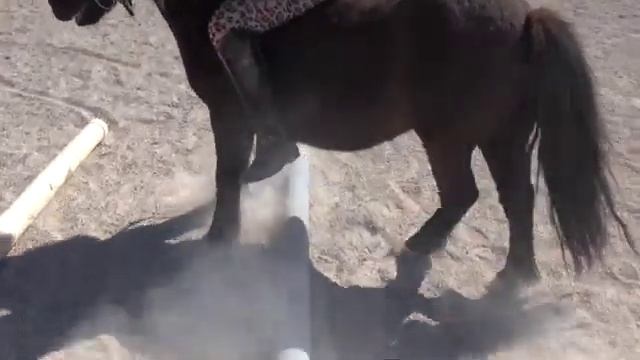 Pony Riding смотреть онлайн