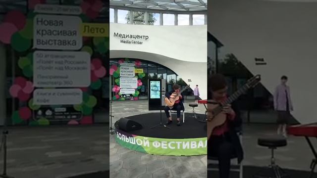 Н.Паганини "Каприс" №24 смотреть онлайн
