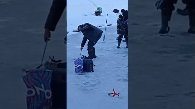 поимка форели смотреть онлайн