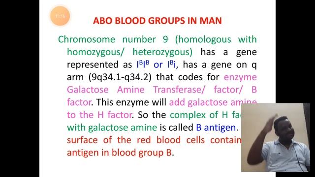 Genetics of ABO blood group systems смотреть онлайн