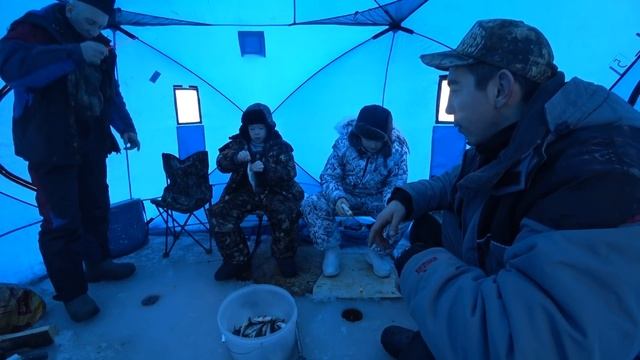 Перволёдка. Открытие сезона . Бешенный клёв окуней