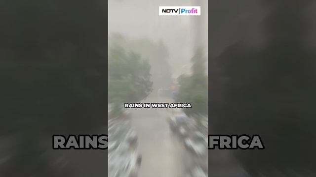 Bad News For Chocolate Lovers | NDTV Profit смотреть онлайн