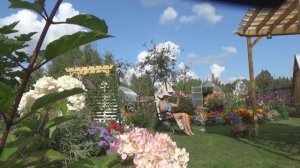 6 соток в конце сентября 2019 года. Морковь убрана. Загораю.