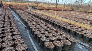 21-12-2024. Работы идут💪