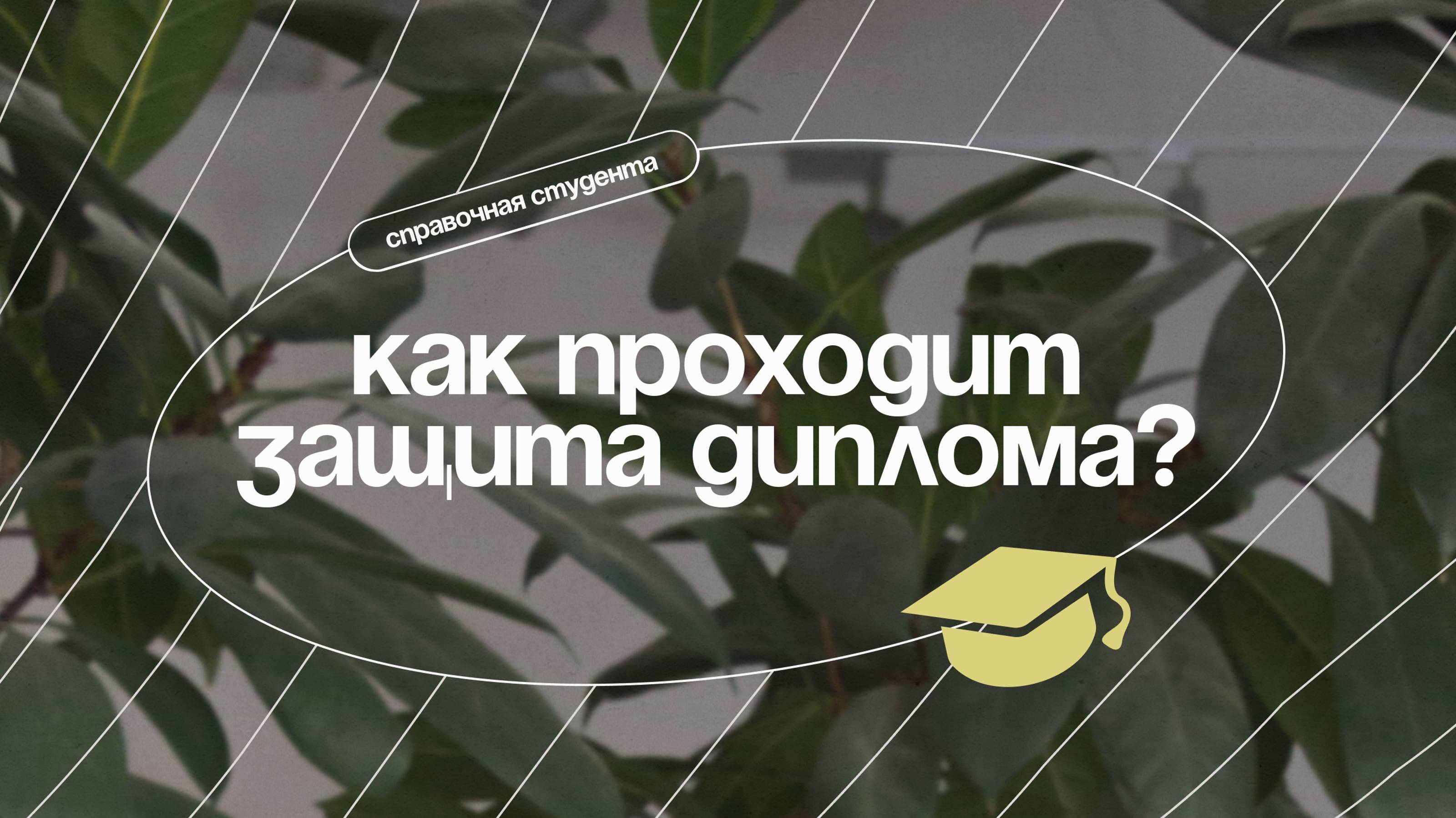 Что такое ГОСы и почему студенты боятся писать диплом?