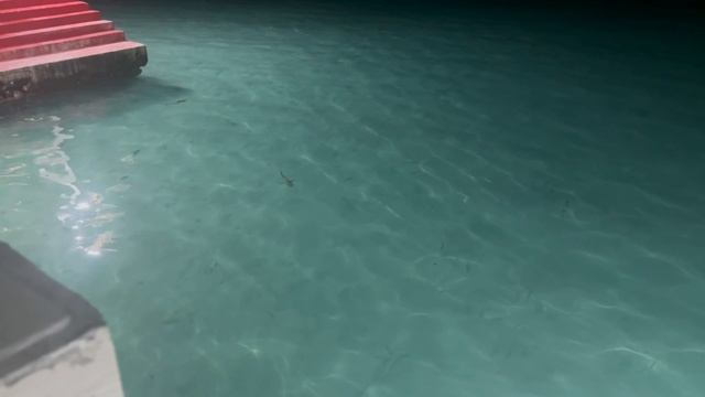 Мальдивы-2024